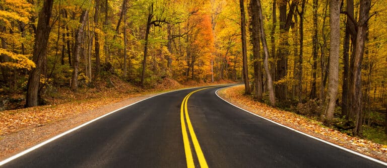Newfound Gap Road winding through forest in Great Smoky Mountains National Park, Tennessee