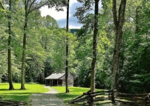 The historic Carter Shields Cabin standing among trees in Cades Cove, Great Smoky Mountains National Park