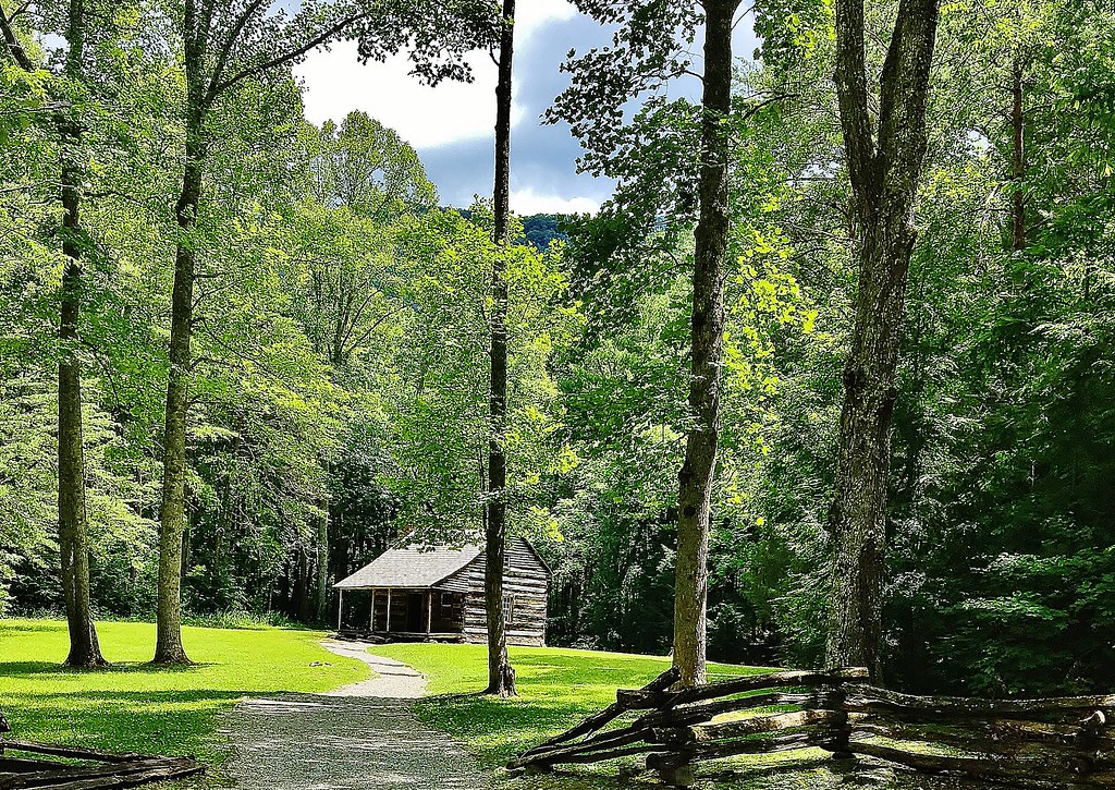 The historic Carter Shields Cabin standing among trees in Cades Cove, Great Smoky Mountains National Park