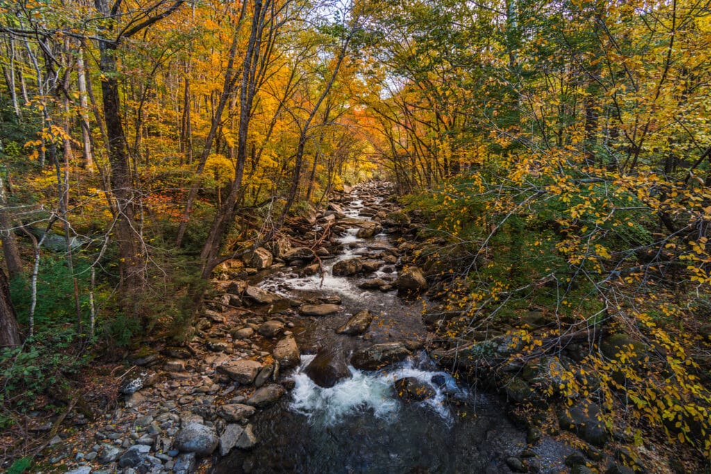 Appalachian hillside in full fall color with orange, red and gold foliage across the ridges