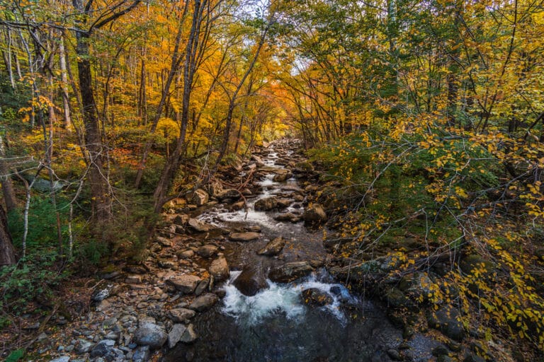 Appalachian hillside in full fall color with orange, red and gold foliage across the ridges